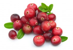 Ripe cranberry